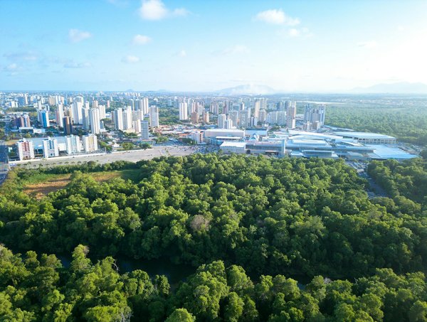 Comment la restauration de manuscrits médiévaux peut-elle aider à comprendre les pratiques culturelles de l'époque ?