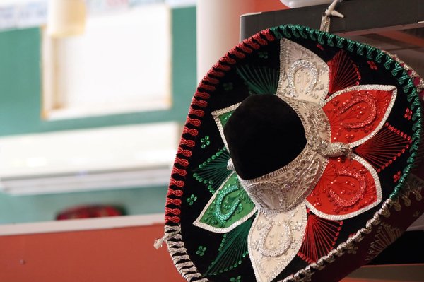 Tourisme au Mexique: une biodiversité exceptionnelle à explorer