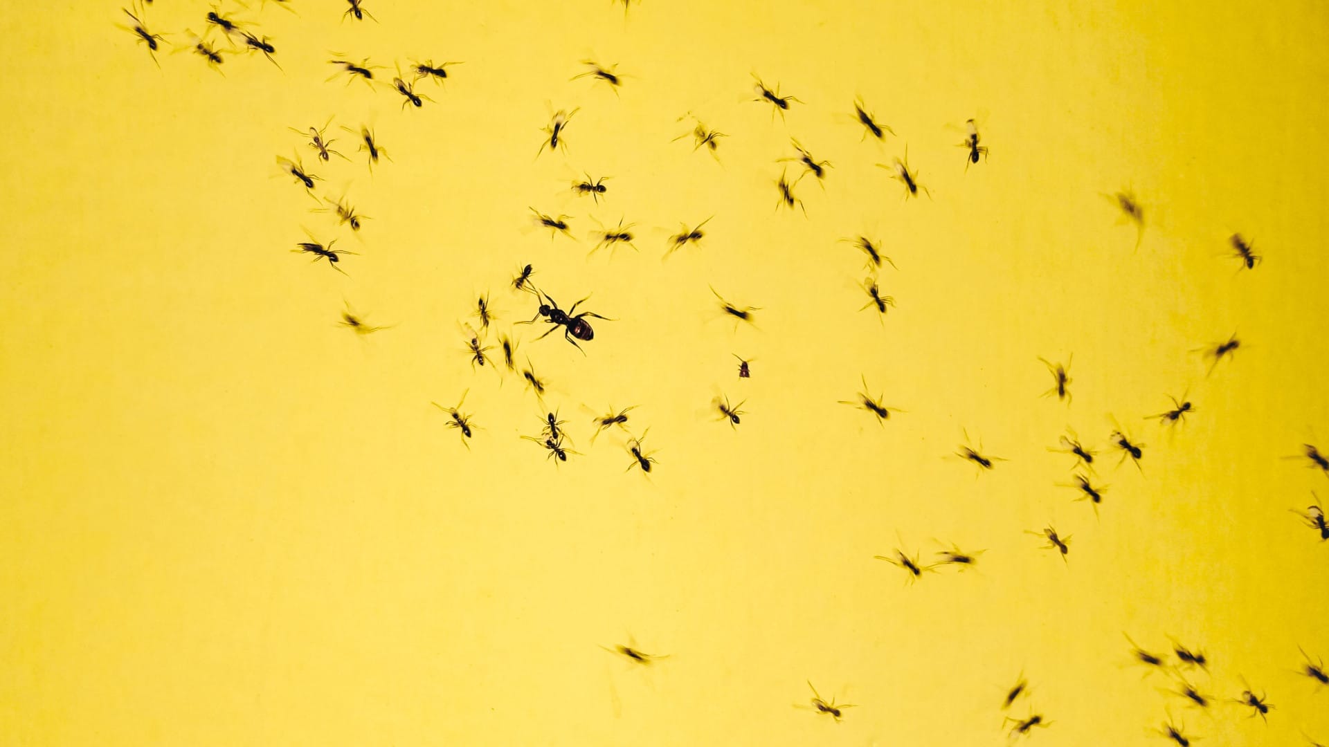 Choisir le bon climatiseur : guide pratique pour rafraîchir votre été